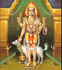 Kala Bhairava Homam Arrangement Services