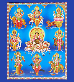 Navagraha Homam Arrangement Services
